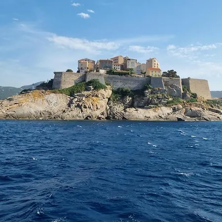 Magnifique T4 Climatise, Dans A Calvi (Corsica)